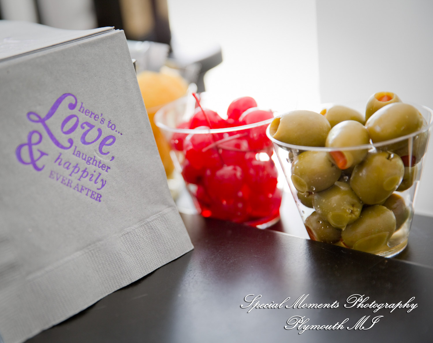 Alexandra & Jon at Stony Creek Metropark Shelby Twp MI wedding photography