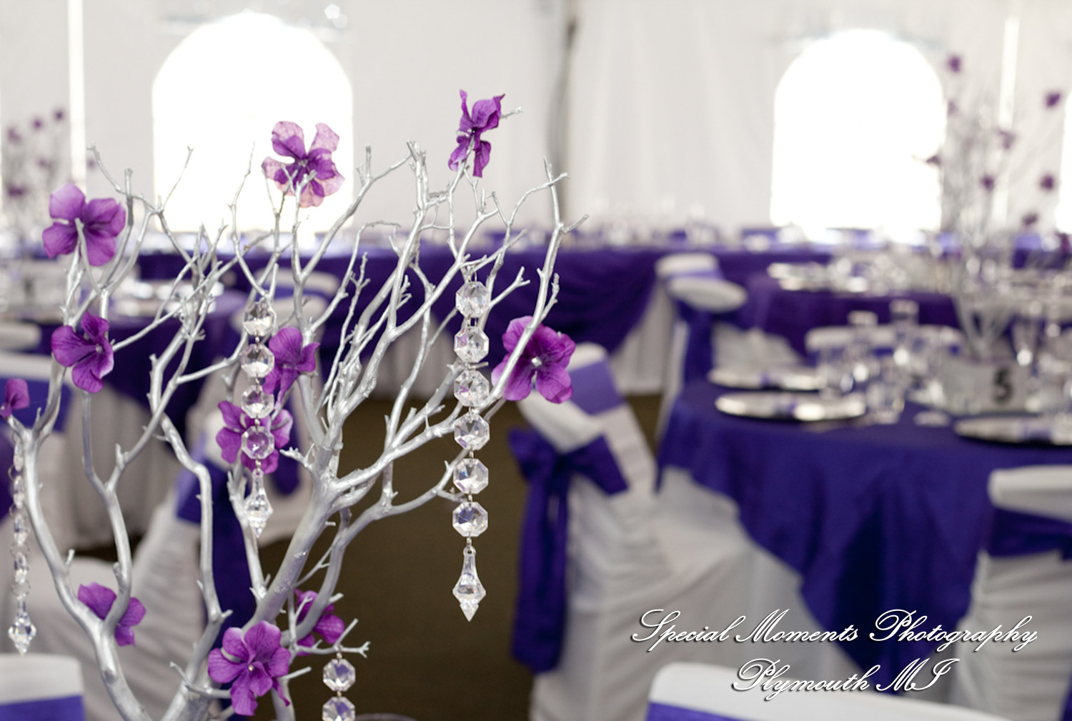 Alexandra & Jon at Stony Creek Metropark Shelby Twp MI wedding photography