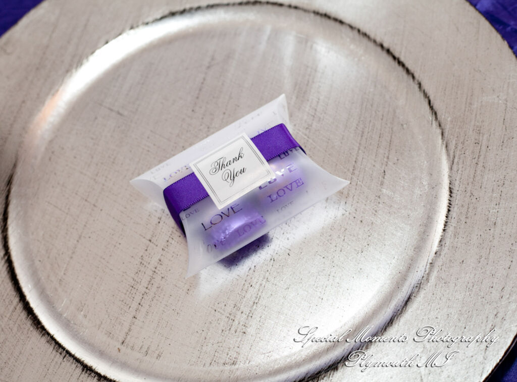 Alexandra & Jon at Stony Creek Metropark Shelby Twp MI wedding photography