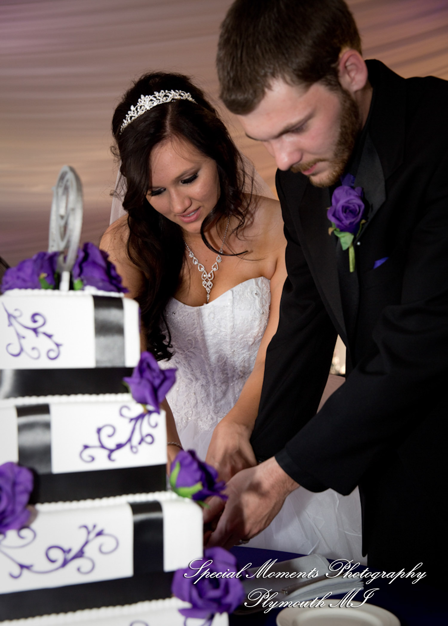 Alexandra & Jon at Stony Creek Metropark Shelby Twp MI wedding photography