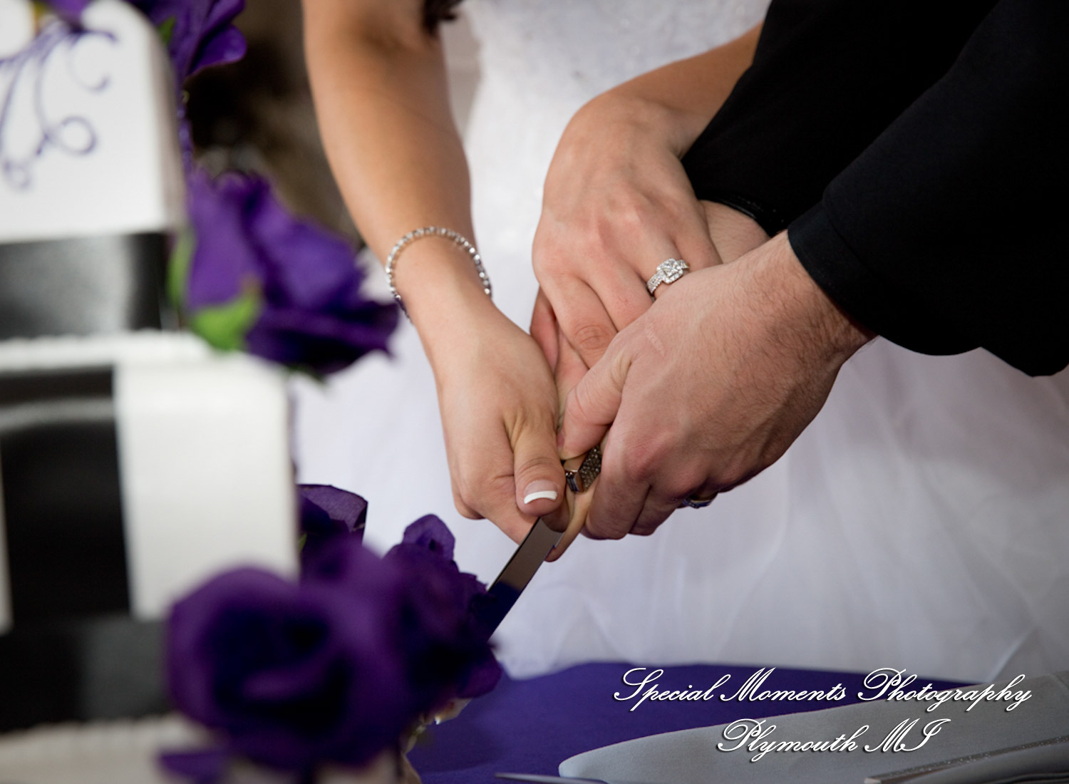 Alexandra & Jon at Stony Creek Metropark Shelby Twp MI wedding photography
