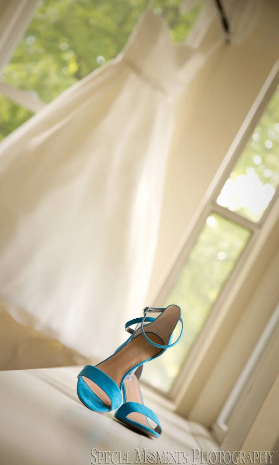 Wellers Saline MI wedding photograph