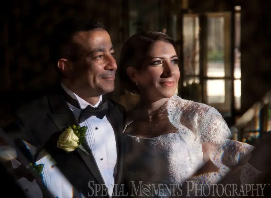 The Henry Hotel Dearborn MI wedding photograph
