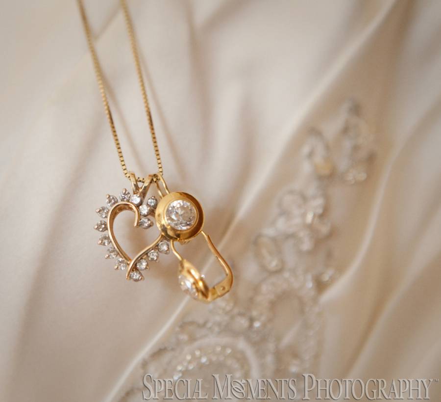 Wellers Saline MI wedding photograph