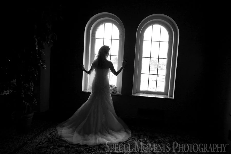 Inn At St. John Plymouth MI wedding photograph