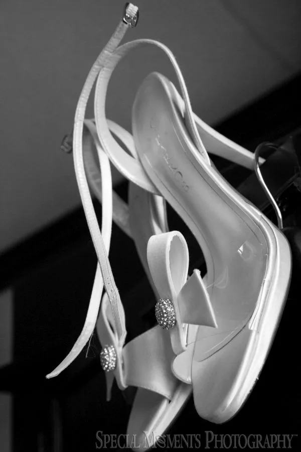 Inn At St. John Plymouth MI wedding photograph