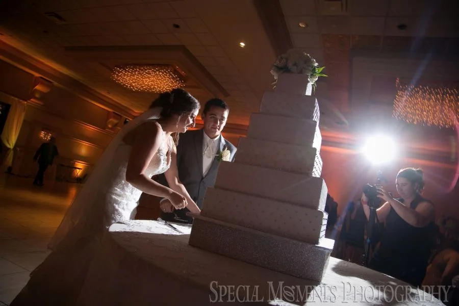 Royalty House Warren MI wedding photograph