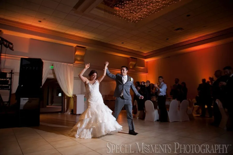 Royalty House Warren MI wedding photograph