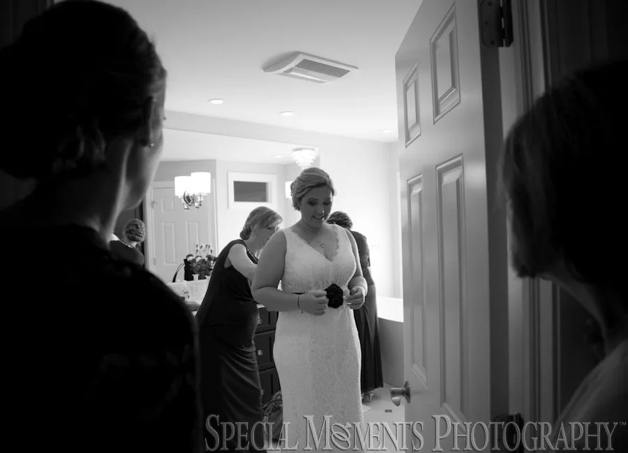 Wellers Saline MI wedding photograph