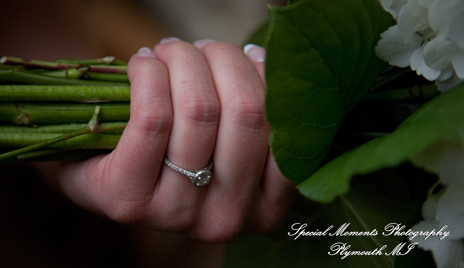 Kathrine & Nathan at The Bridge United Methodist Milan MI wedding photography