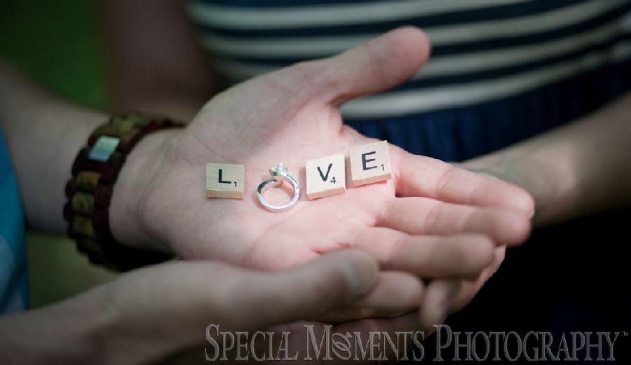 Long Park Commerce Twp MI wedding photograph