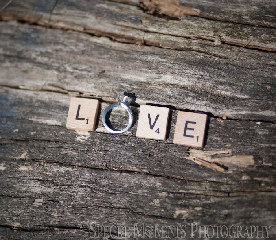 Long Park Commerce Twp MI wedding photograph
