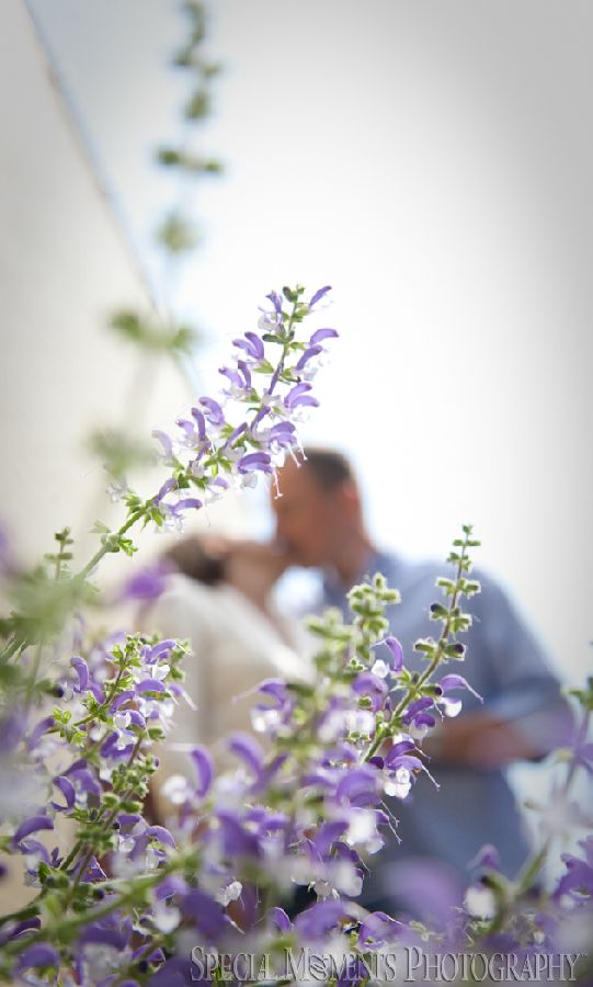 Mill Race Northville MI engagement photograph