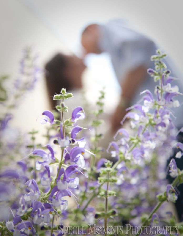 Mill Race Northville MI engagement photograph