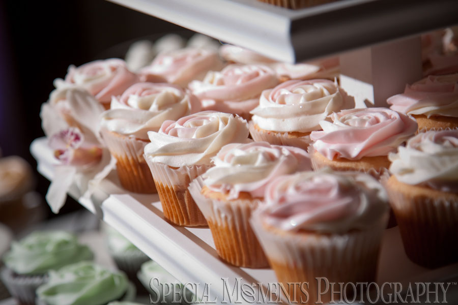 Indianwood Golf Country Club Lake Orion MI wedding photograph