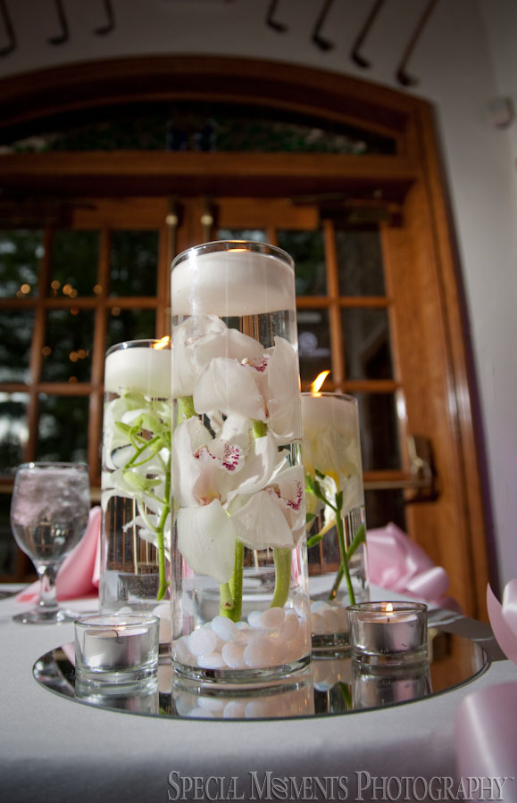 Indianwood Golf Country Club Lake Orion MI wedding photograph