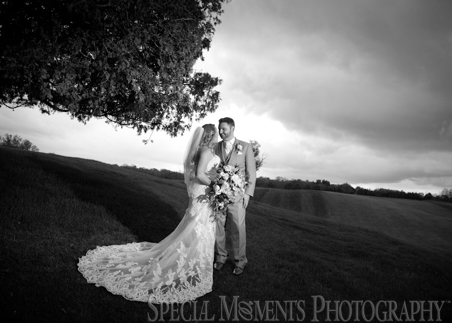 Indianwood Golf Country Club Lake Orion MI wedding photograph