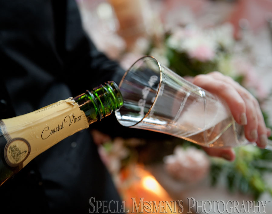 Indianwood Golf Country Club Lake Orion MI wedding photograph