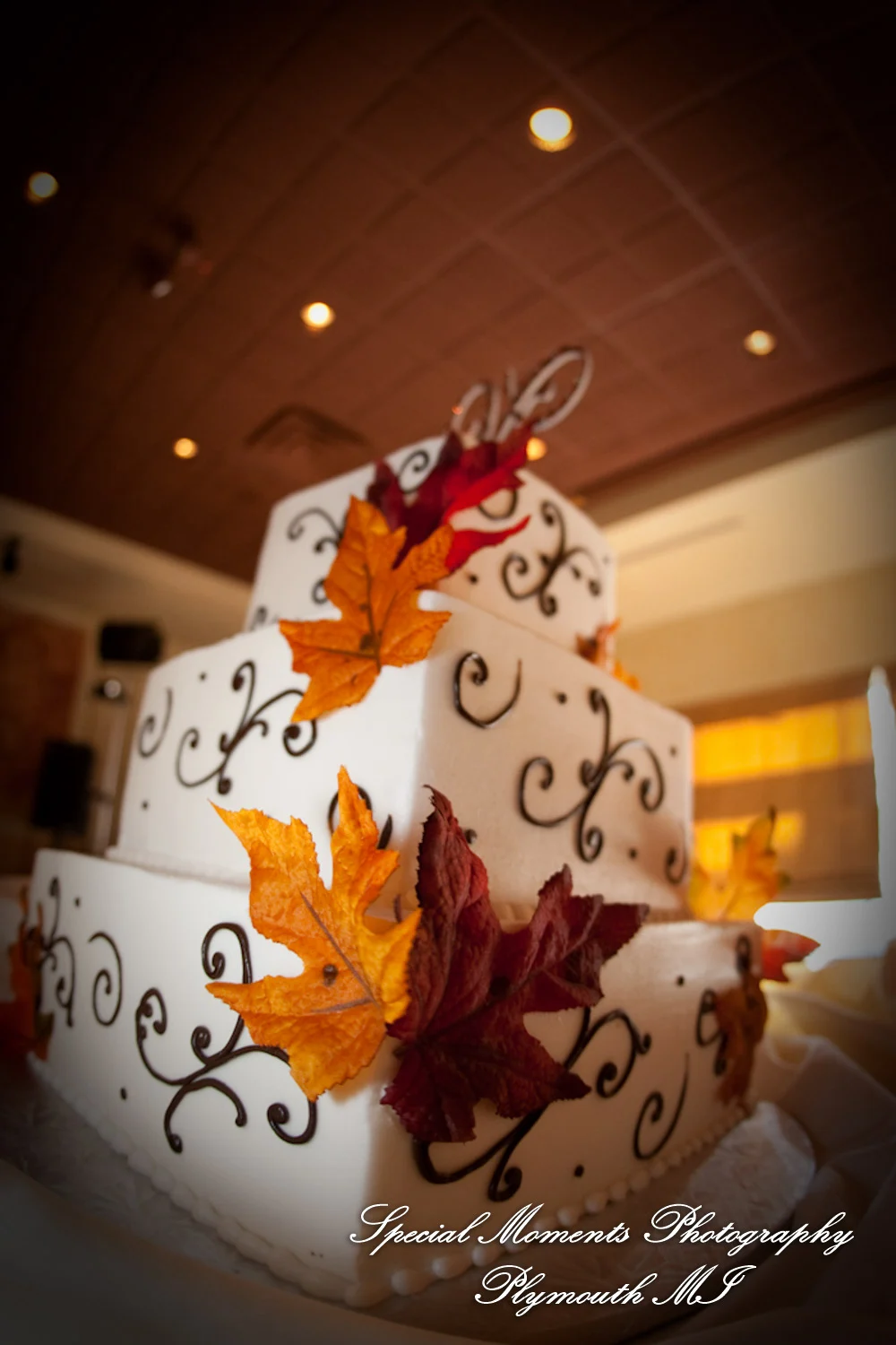 Andiamos Dearborn MI wedding photograph