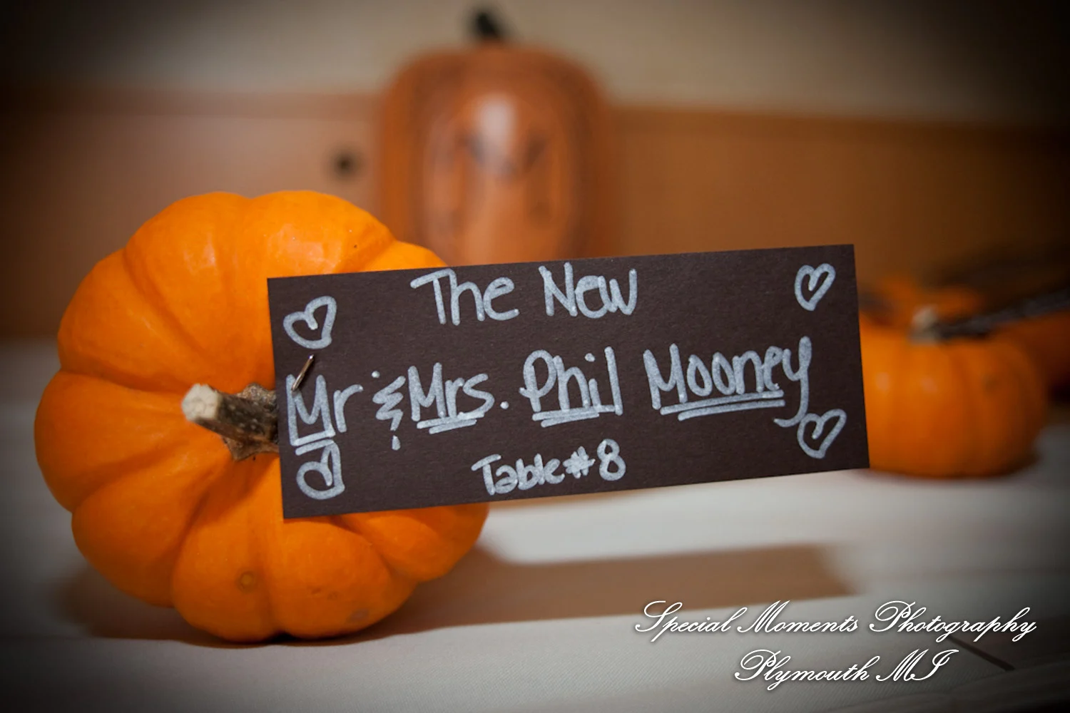 Andiamos Dearborn MI wedding photograph