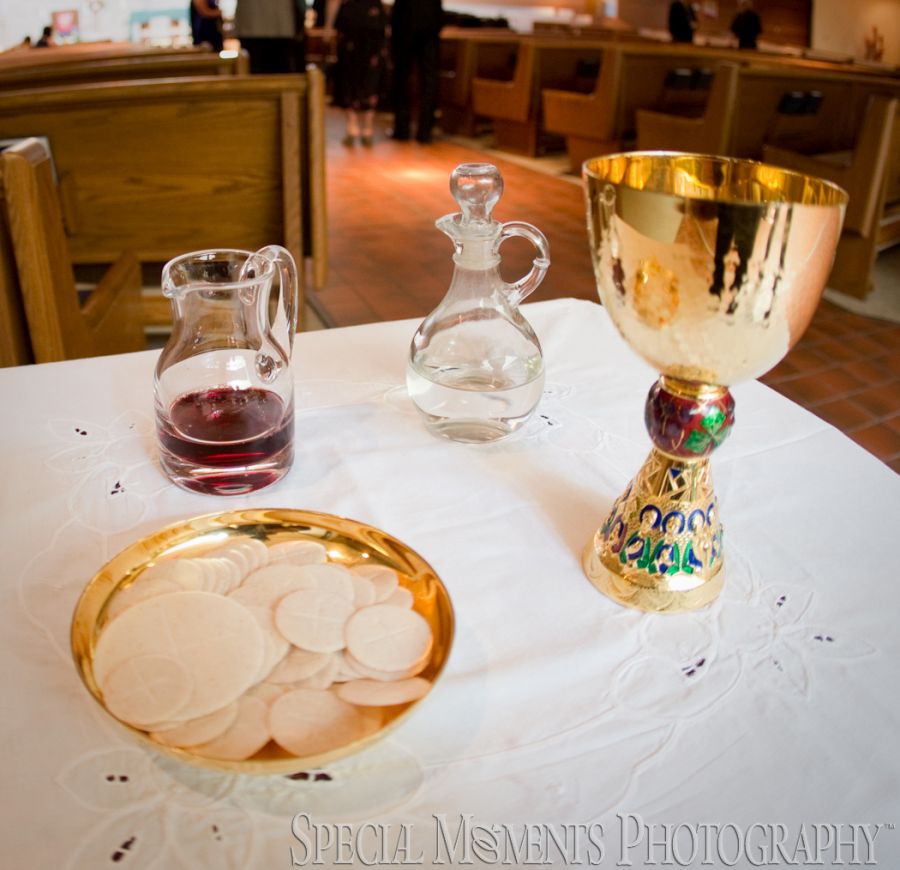 Our Lady of the Lakes Waterford MI wedding photograph