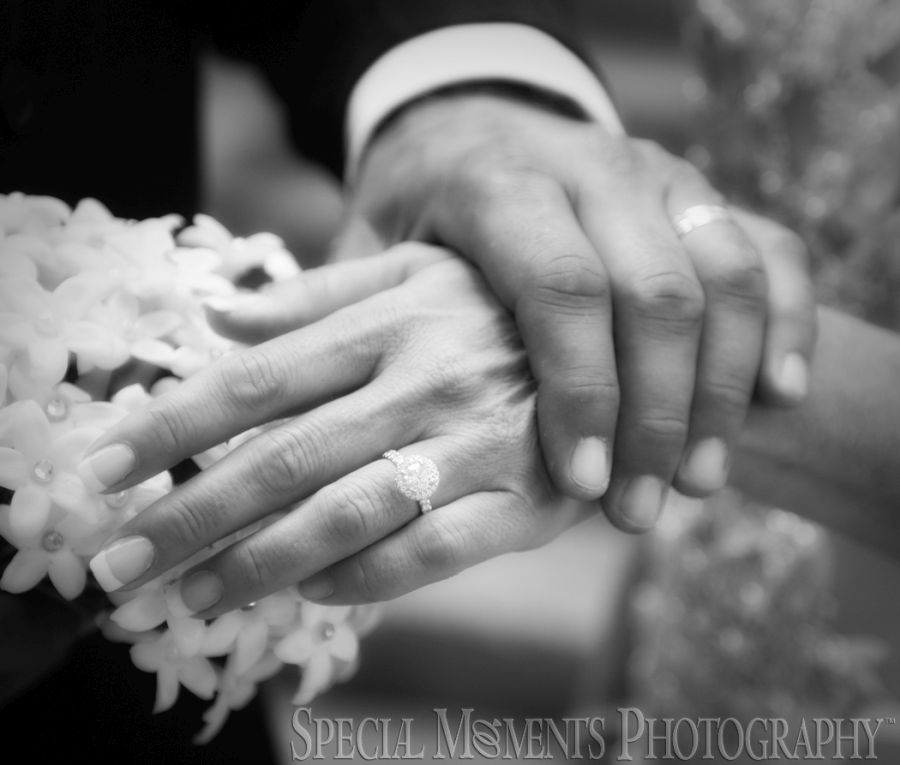 Grosse Pointe War Memorial Grosse Pointe Farms MI wedding photography
