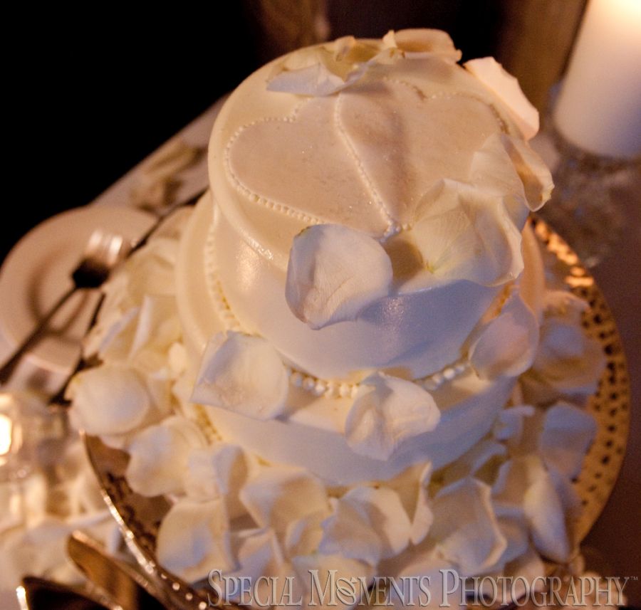 Grosse Pointe War Memorial Grosse Pointe Farms MI wedding photography