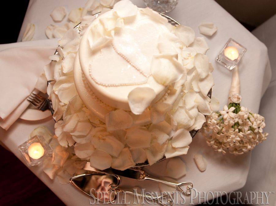 Grosse Pointe War Memorial Grosse Pointe Farms MI wedding photography