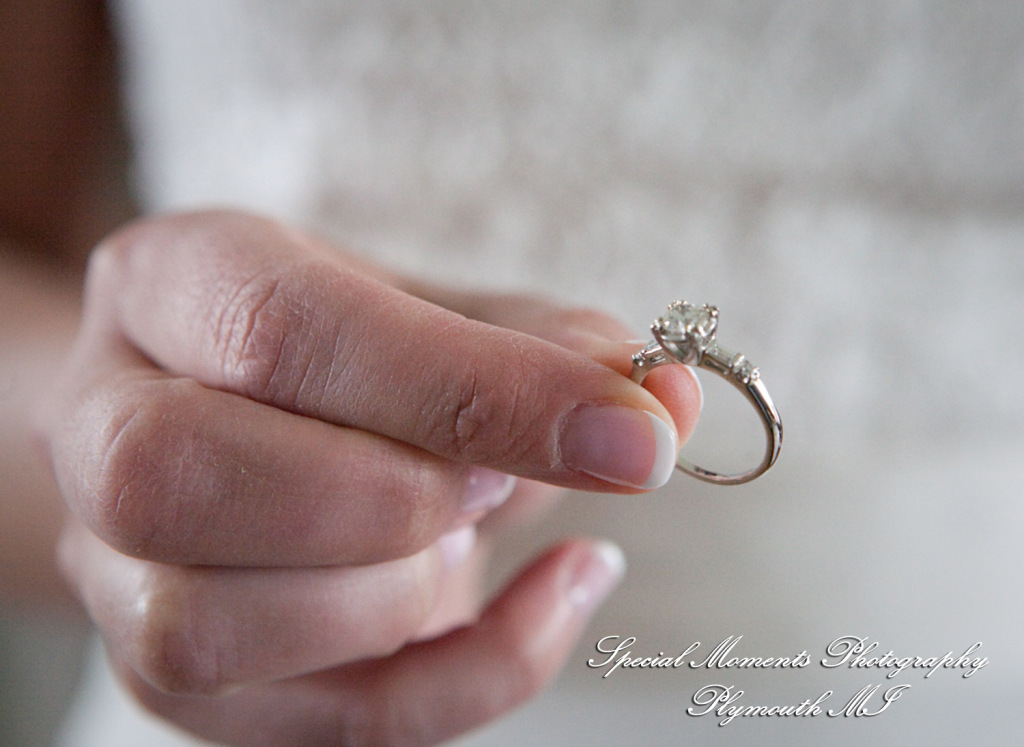 Monica & Ken at Greenmead Village Chapel Livonia MI wedding photograph