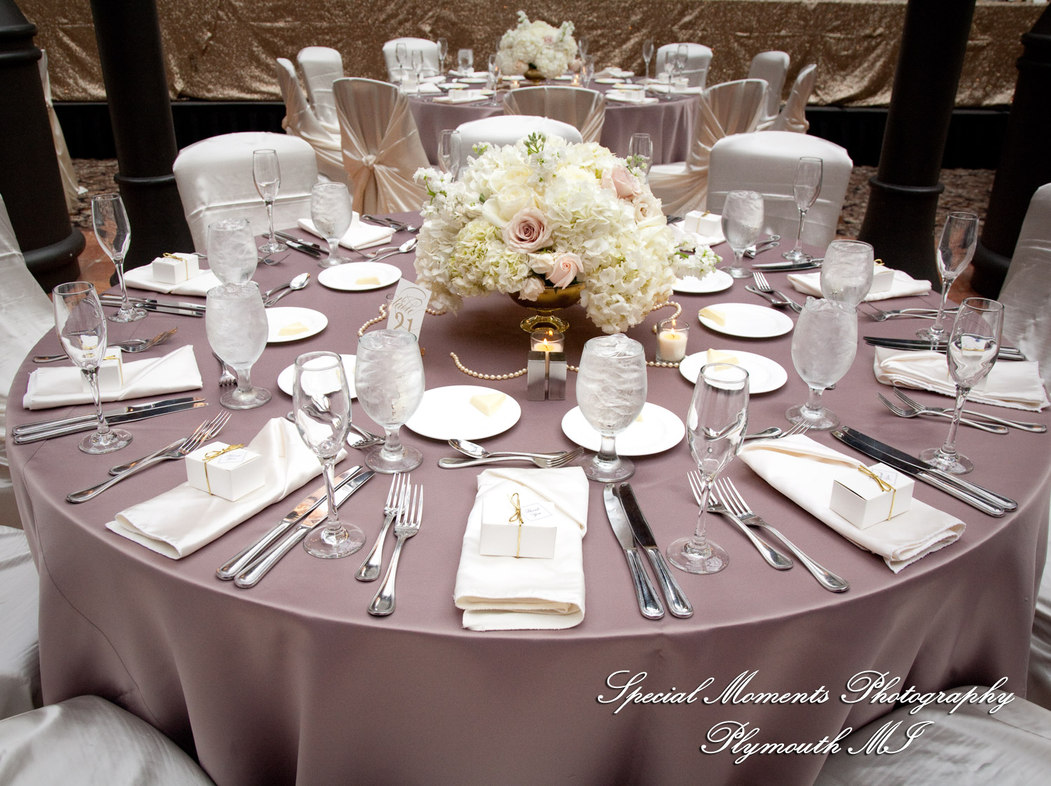 Leah & Caleb at St. John's Resort Ballroom Plymouth MI wedding photography