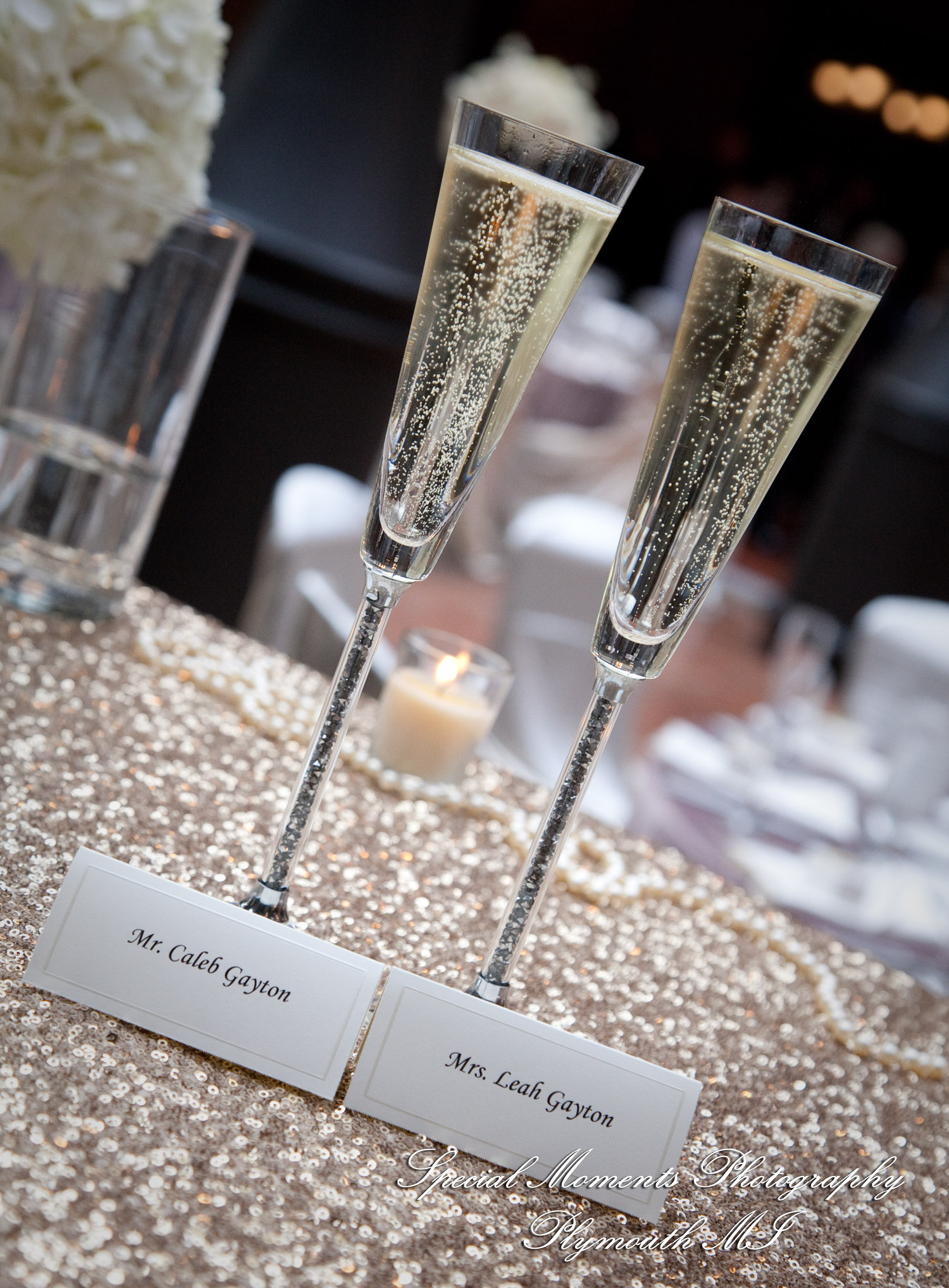Leah & Caleb at St. John's Resort Ballroom Plymouth MI wedding photography
