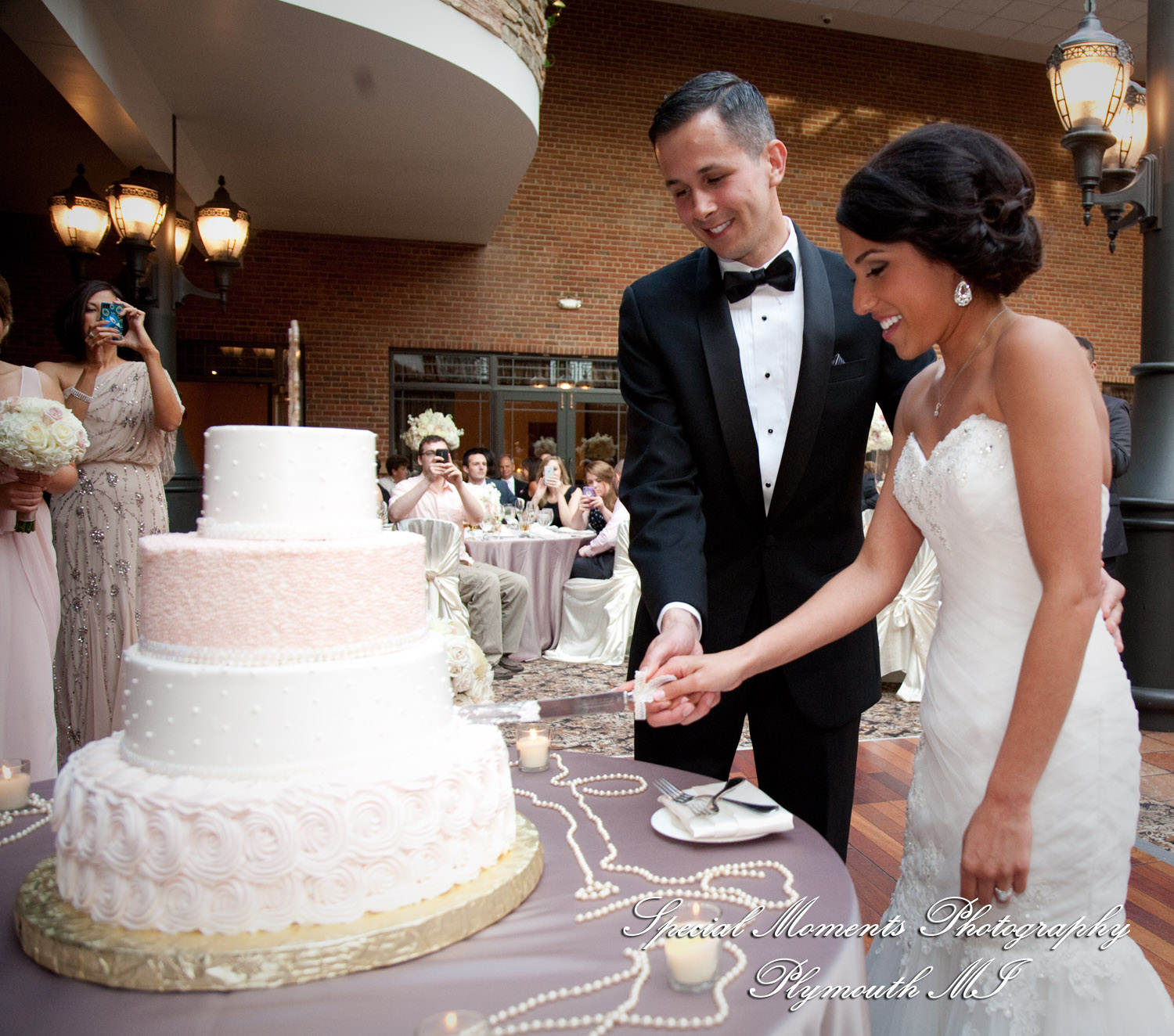 Leah & Caleb at St. John's Resort Ballroom Plymouth MI wedding photography