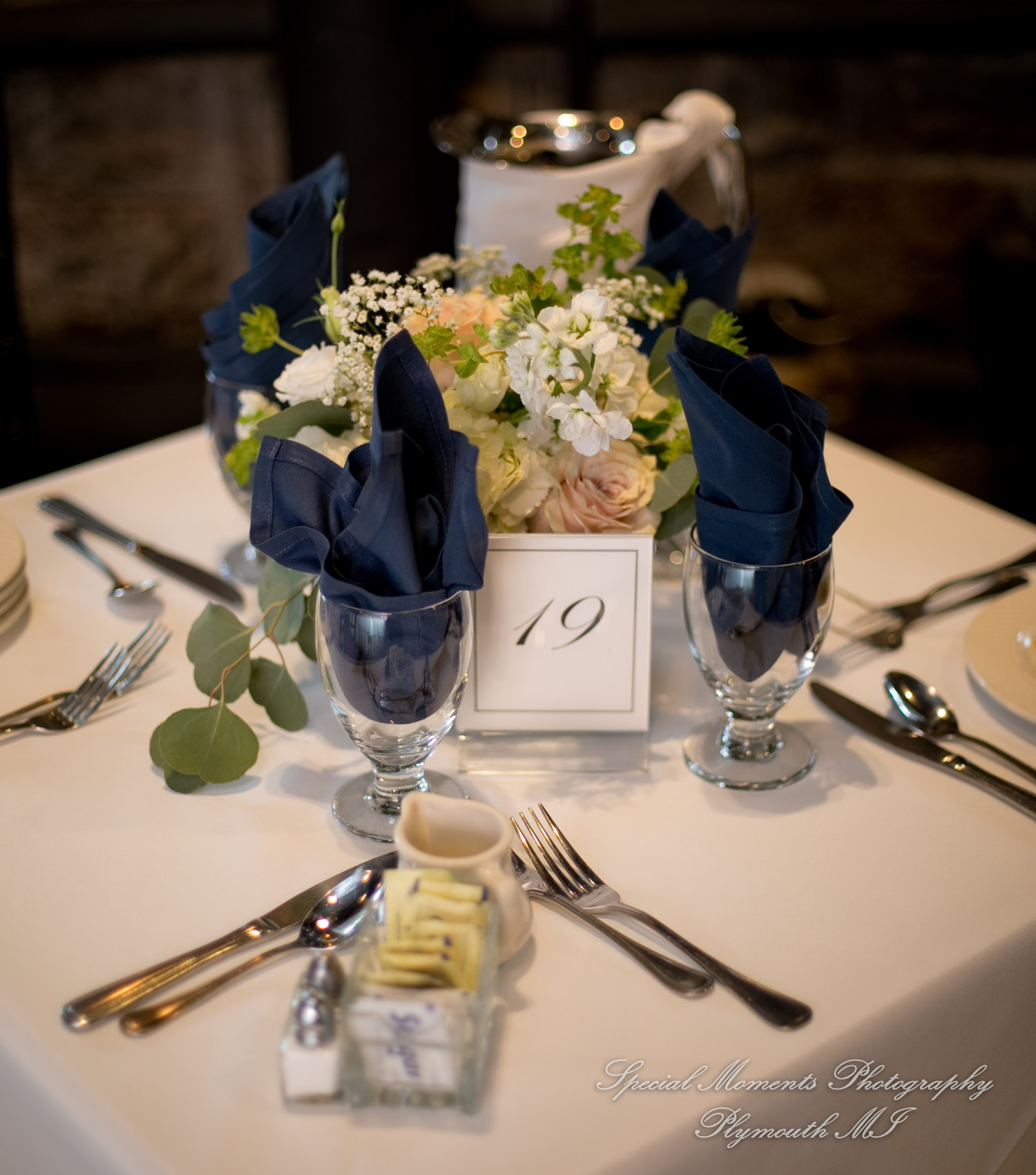 Krystal & Brian at Wellers Raisin River Rm Saline MI wedding photograph