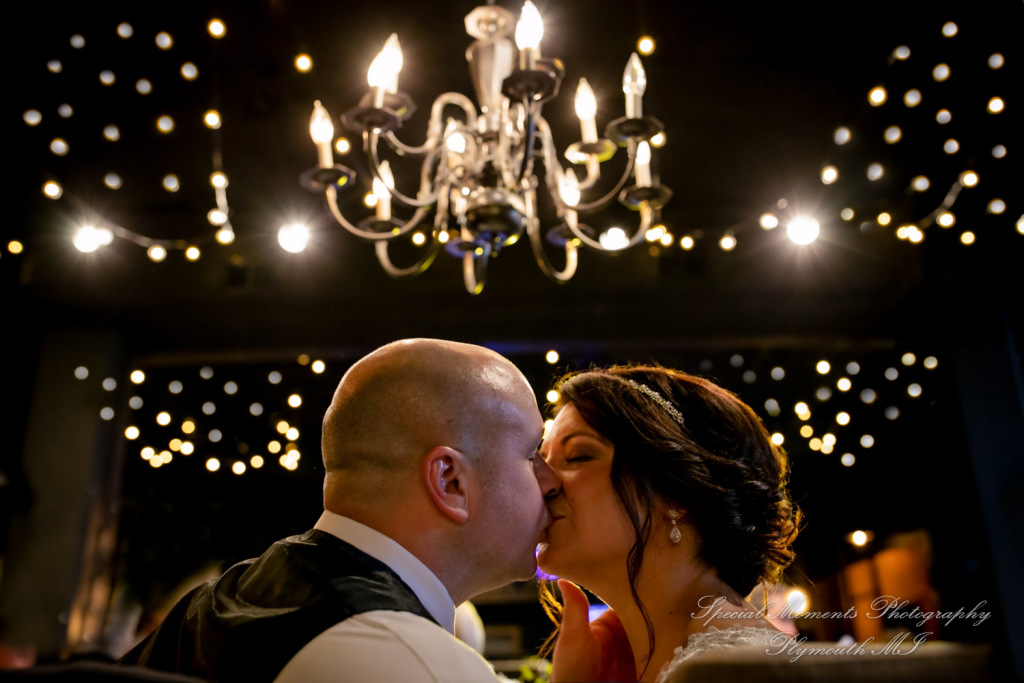 Krystal & Brian at Wellers Raisin River Rm Saline MI wedding photograph