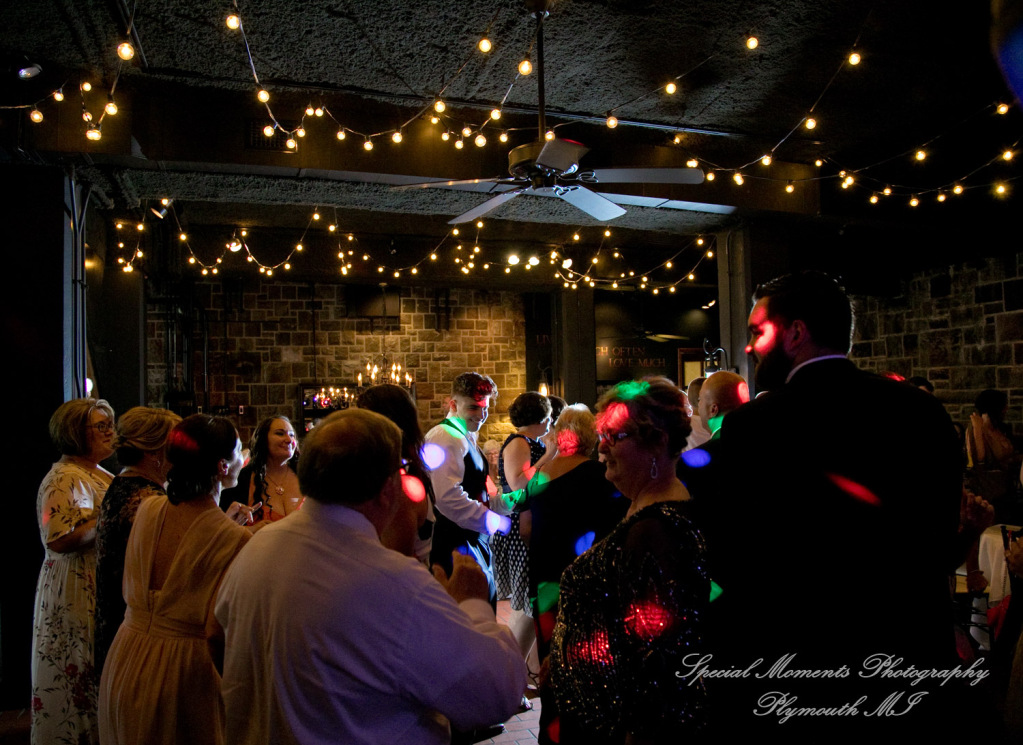 Krystal & Brian at Wellers Raisin River Rm Saline MI wedding photograph