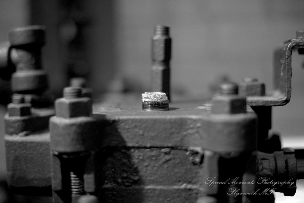 Krystal & Brian at Wellers Raisin River Rm Saline MI wedding photograph