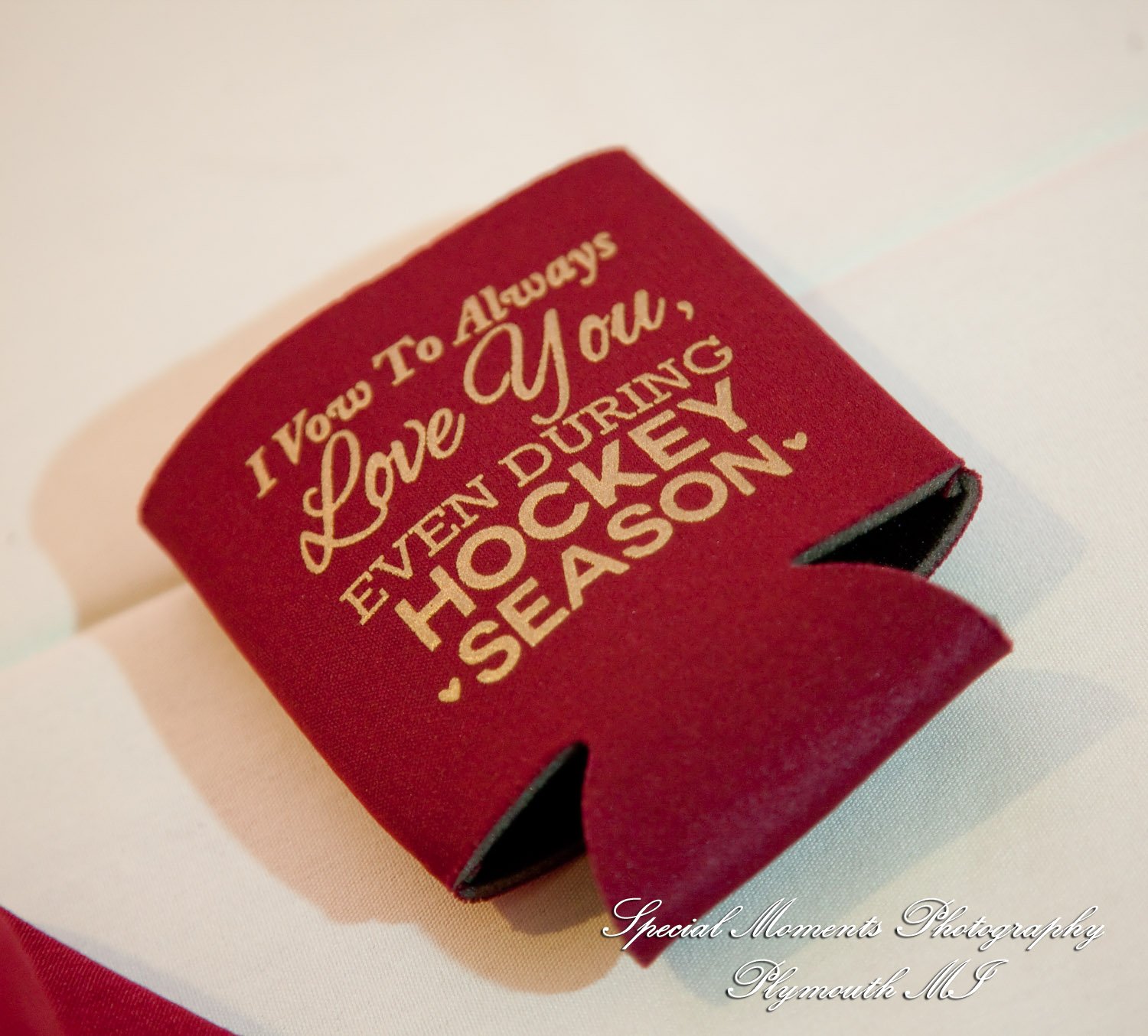 Leanne & Daniel at Arnaldo's Banquet Center Riverview MI wedding photograph