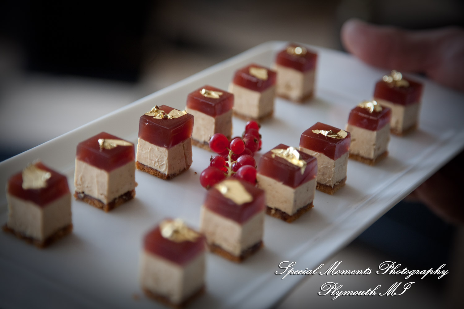 Mark & Colleen at Hotel de Crillon Paris France wedding photograph