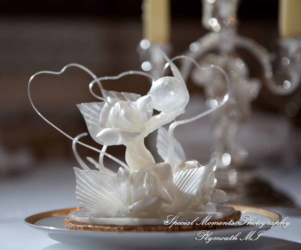 Mark & Colleen at Hotel de Crillon Paris France wedding photograph