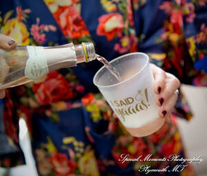 Heritage Park Farmington Hills MI wedding photograph