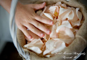 Heritage Park Farmington Hills MI wedding photograph