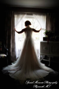 Heritage Park Farmington Hills MI wedding photograph