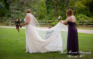 Heritage Park Farmington Hills MI wedding photograph