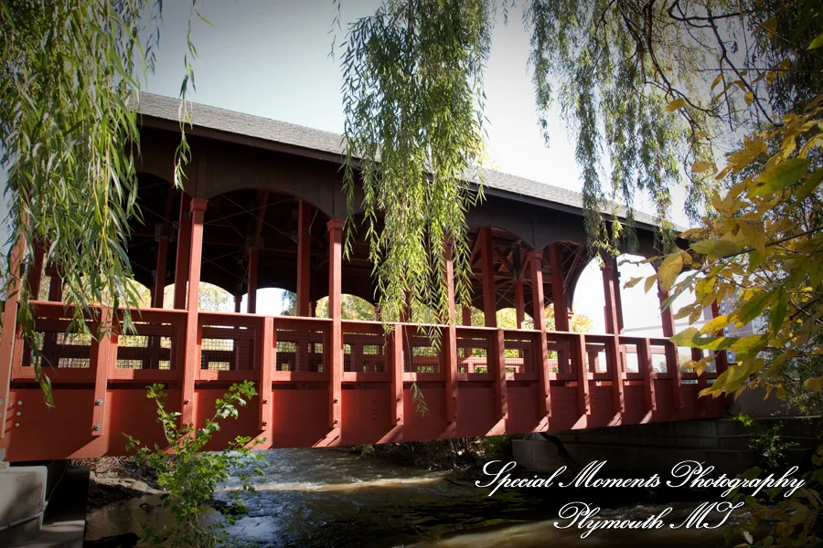 Ford Field Park Dearborn MI Hindu wedding photograph