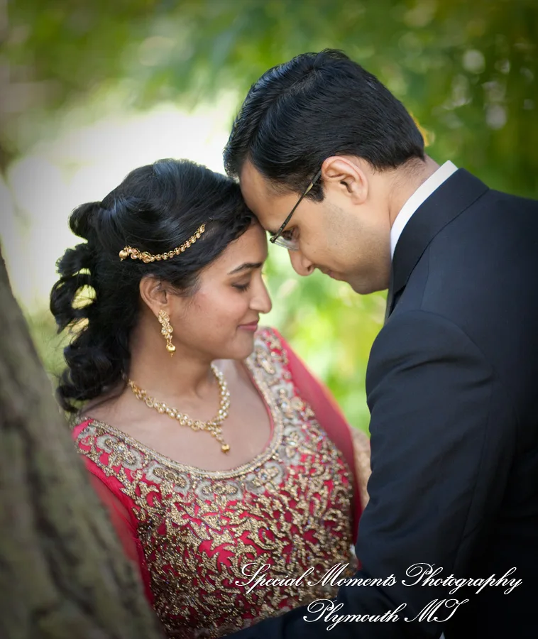 Ford Field Park Dearborn MI Hindu wedding photograph