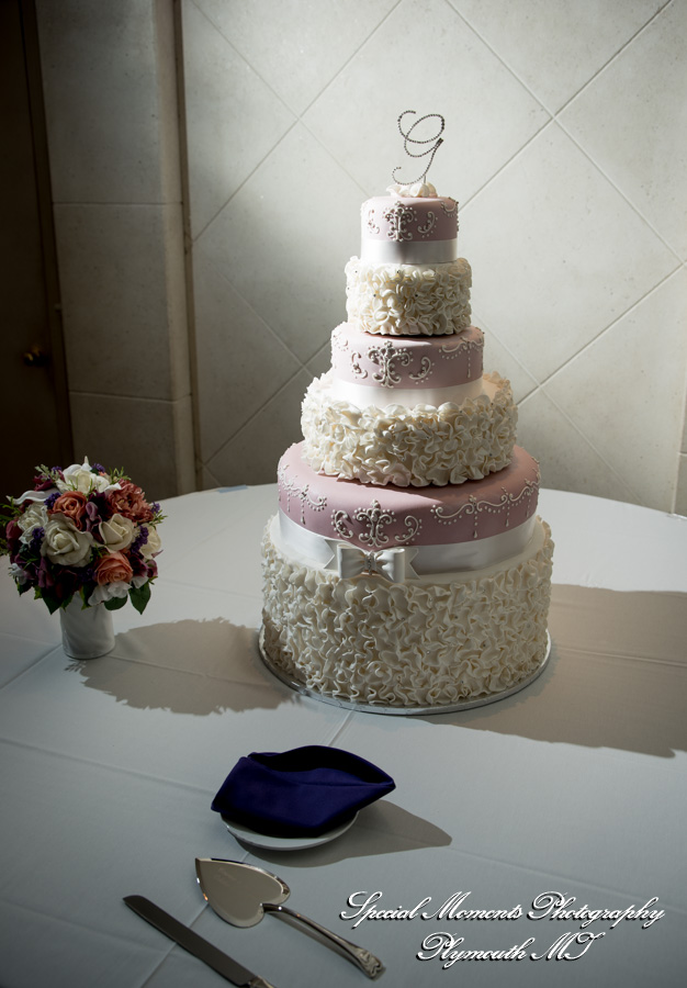 Courtnie & Michael at Arnaldo's Banquet Center Riverview MI wedding photography