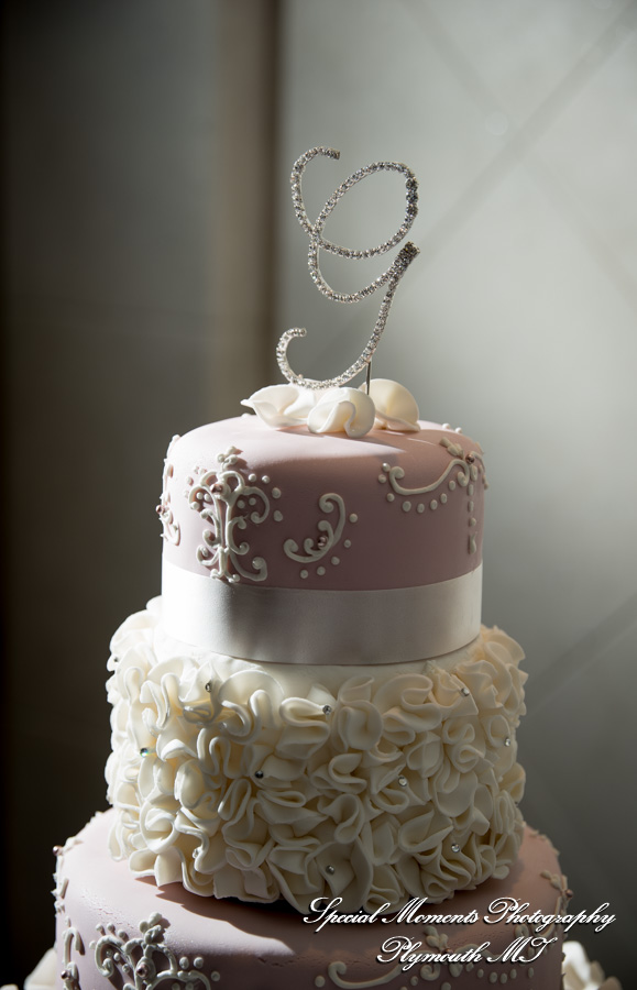 Courtnie & Michael at Arnaldo's Banquet Center Riverview MI wedding photography