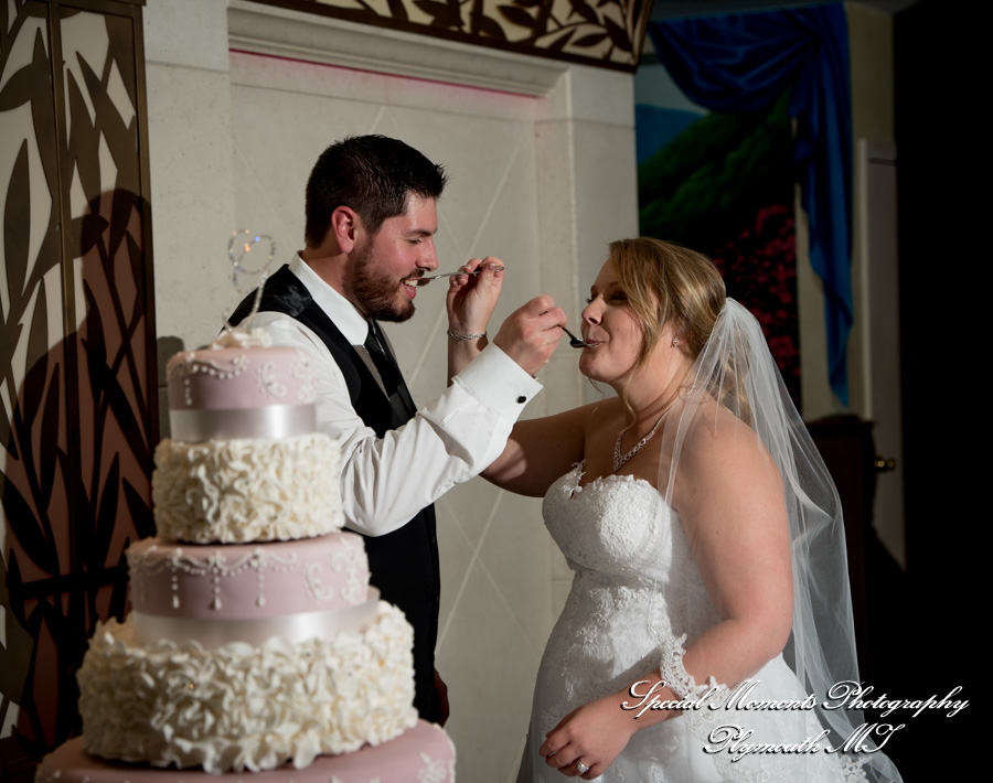 Courtnie & Michael at Arnaldo's Banquet Center Riverview MI wedding photography