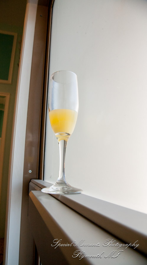 Kaitlin & Niko at The Bentley Banquet Hall Wyandotte MI wedding photography