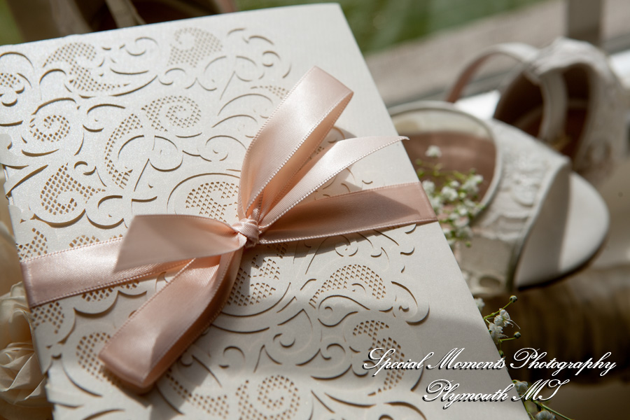 Shahla & Ryan at Dearborn Inn Dearborn M wedding photography